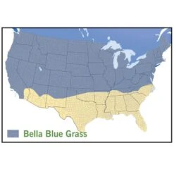 Bella™ Bluegrass Grass Plugs 7 Bella™ Bluegrass Grass Plugs -BloomNest Shop bella blue grass map